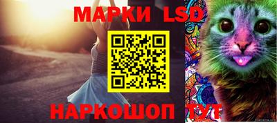 индика Заволжье