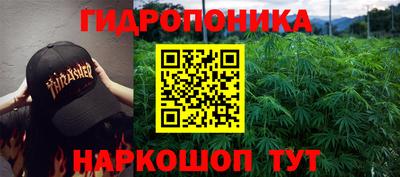 прущие крисы Заводоуковск