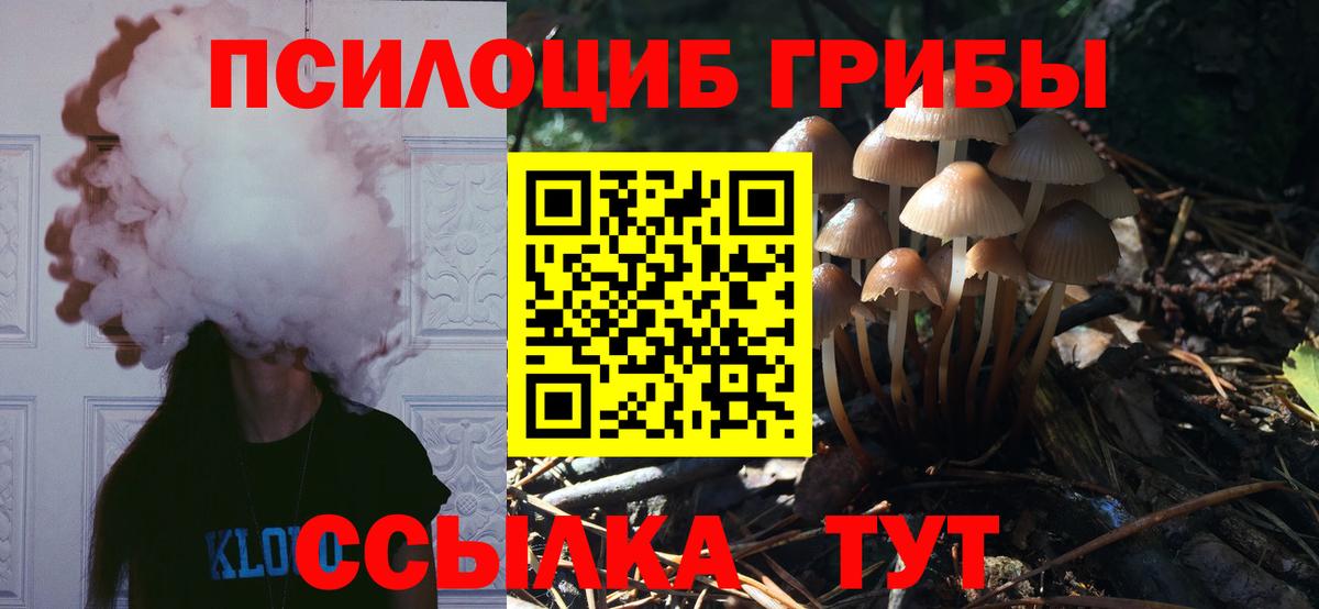 Луга  Псилоцибиновые грибы мицелий  Вход с VPN 