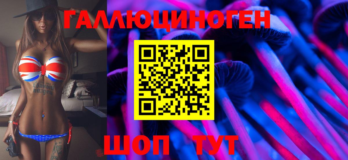 Псилоцибиновые грибы Psilocybine cubensis Луга